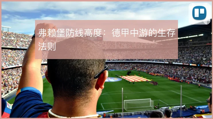 弗赖堡防线高度：德甲中游的生存法则
